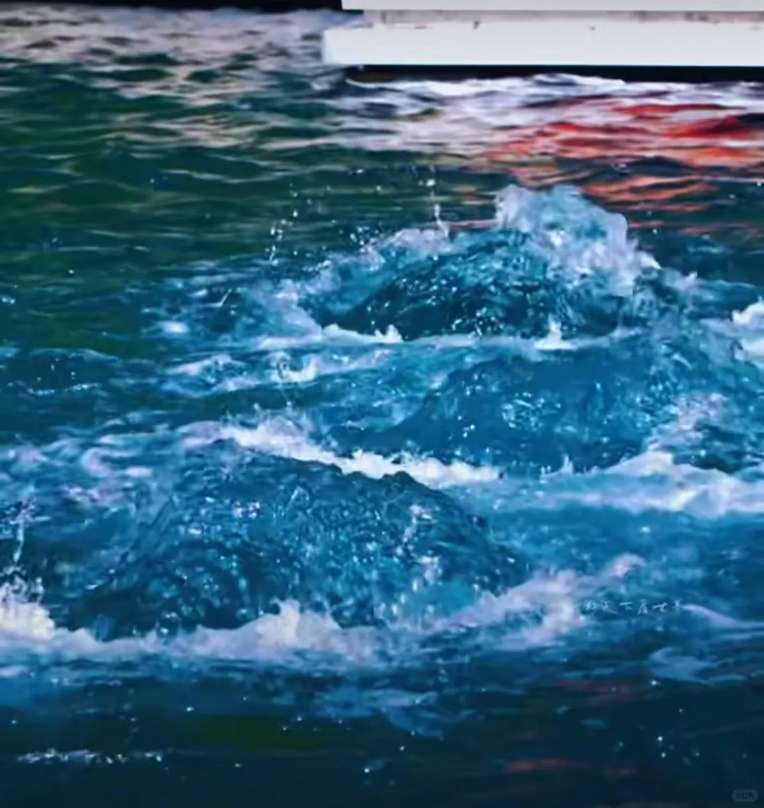 山水间的诗意画卷—趵突泉