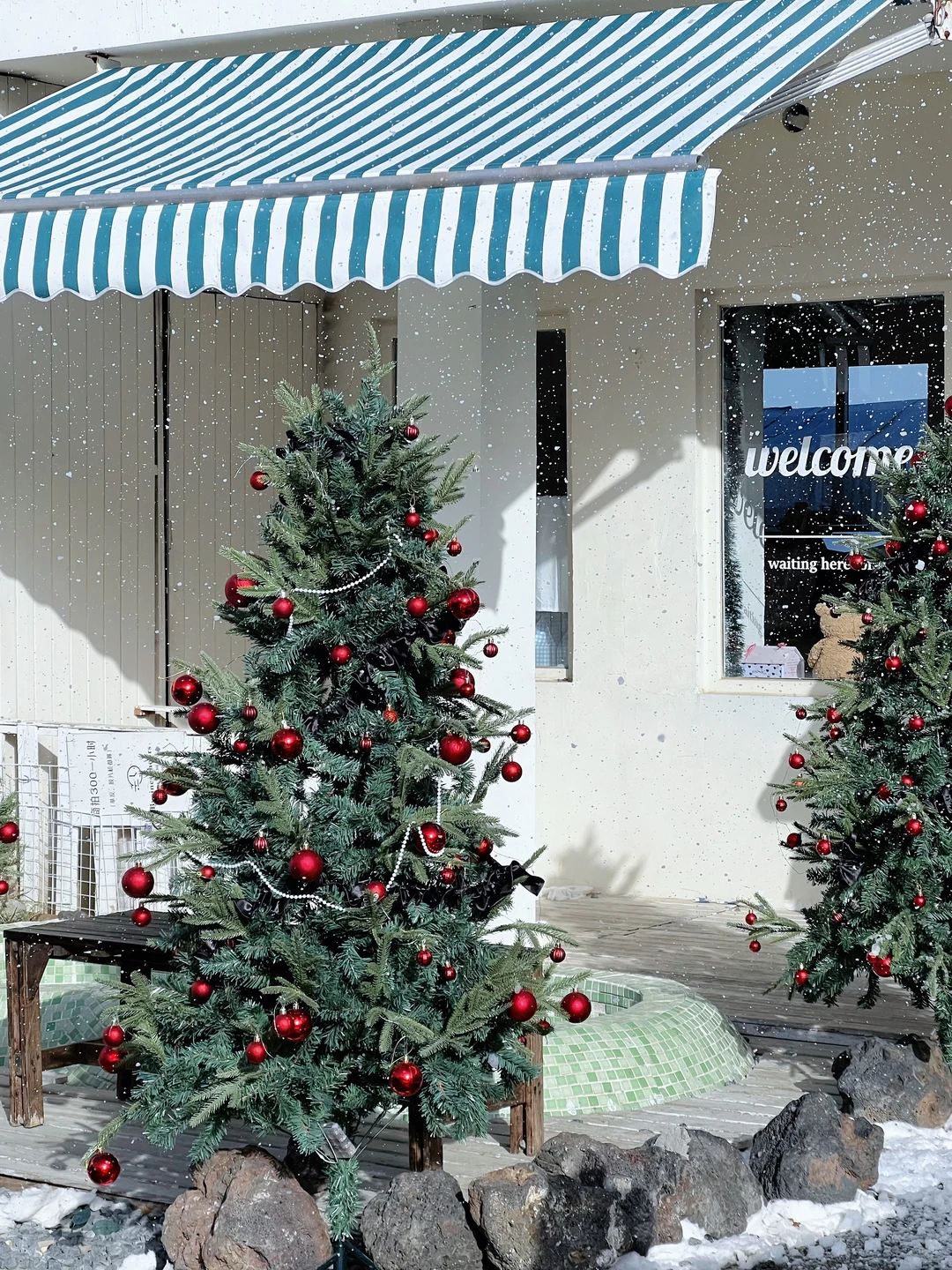 ohmo 青岛有自己的济州岛˖𓇼⋆🐚