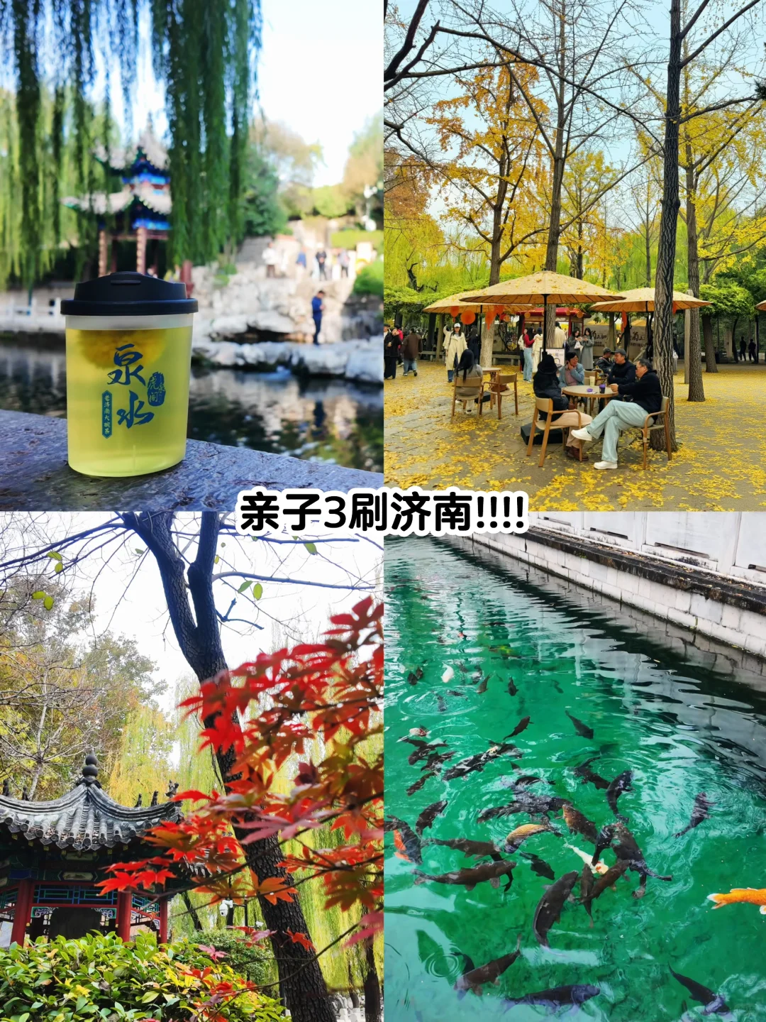 🍂请北京小孩周末都去济南赏秋！行程分享🔛