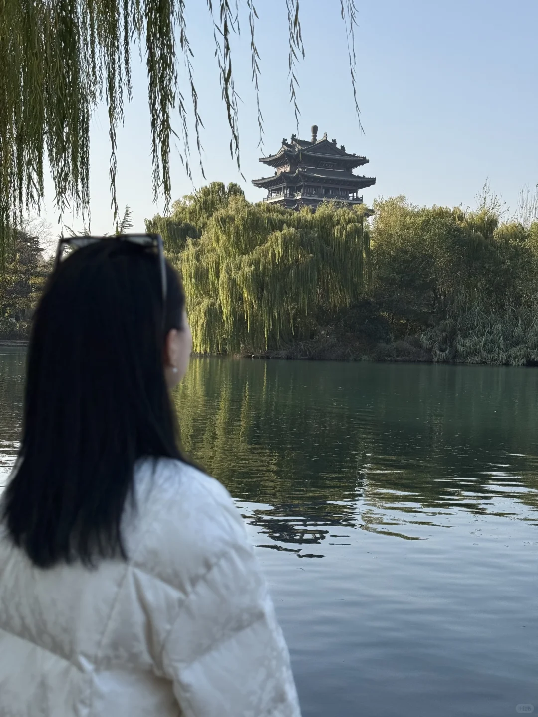 总要来趟老舍笔下的济南吧