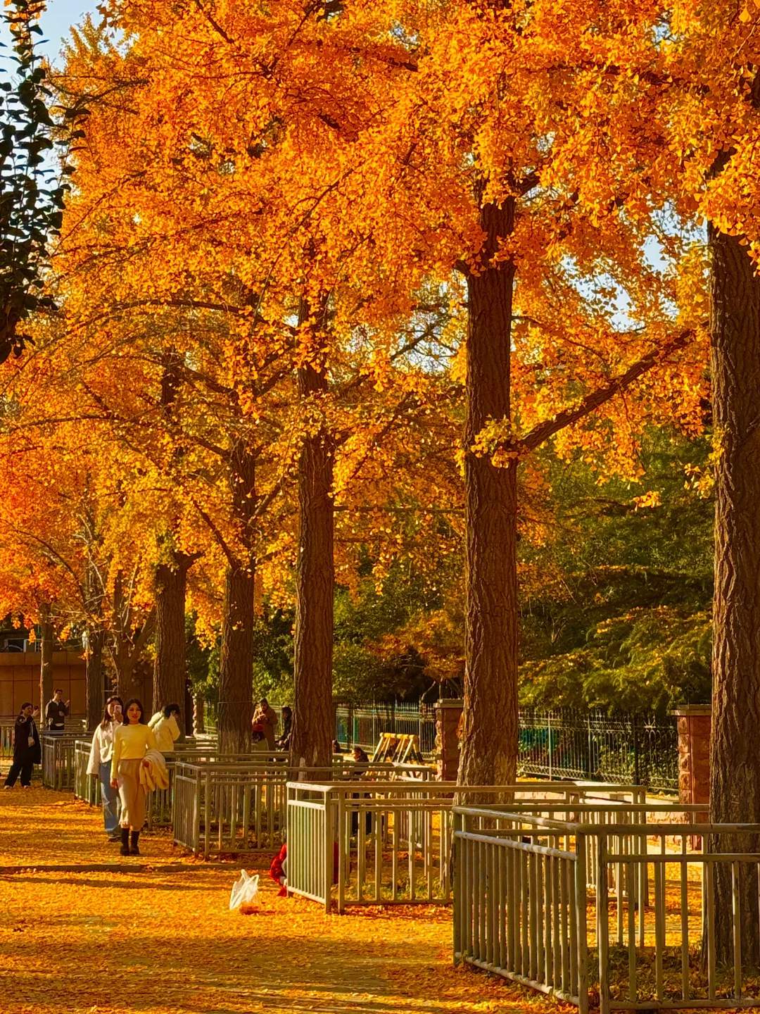 济南今天杀疯了啊！！！！！！！！！！！！！！！！