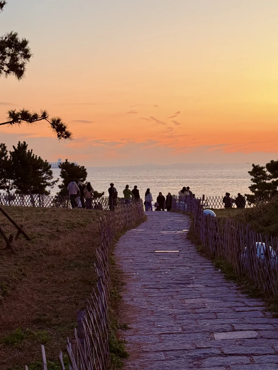 青岛刚回，此行最满意的9️⃣个地方。。。。。