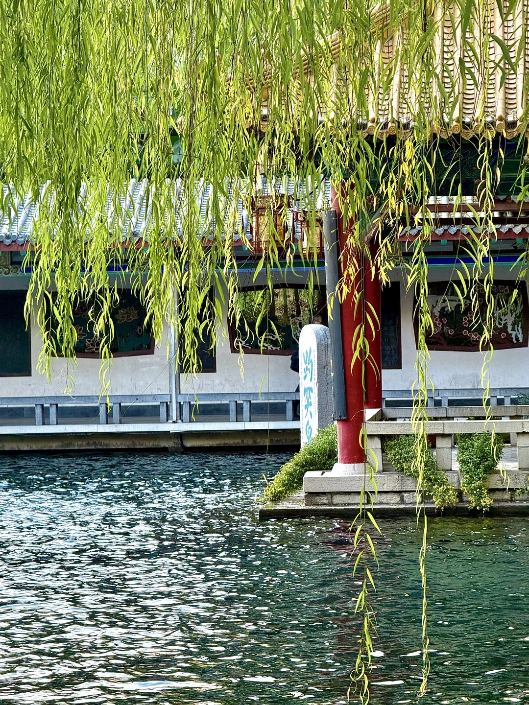 在济南🫧“清泉石上流”具像化了……