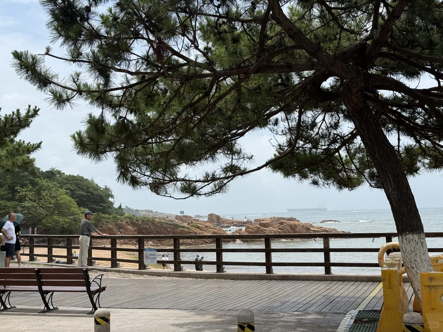 青岛已回，说实话不推荐