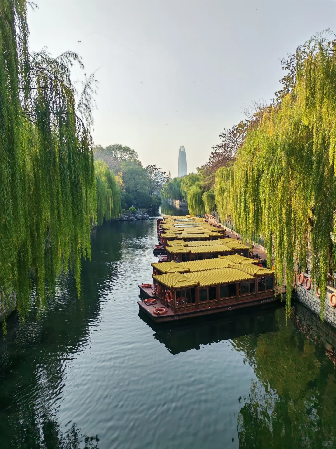 济南的冬天❄️