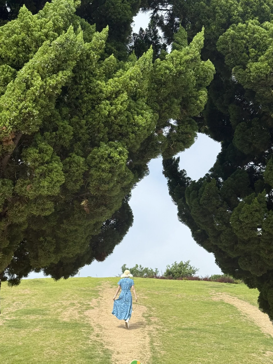 青岛已回，说实话不推荐