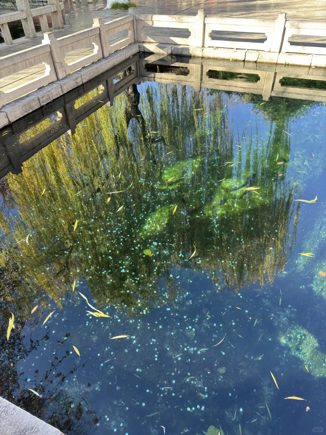 济南Day1，11.27趵突泉