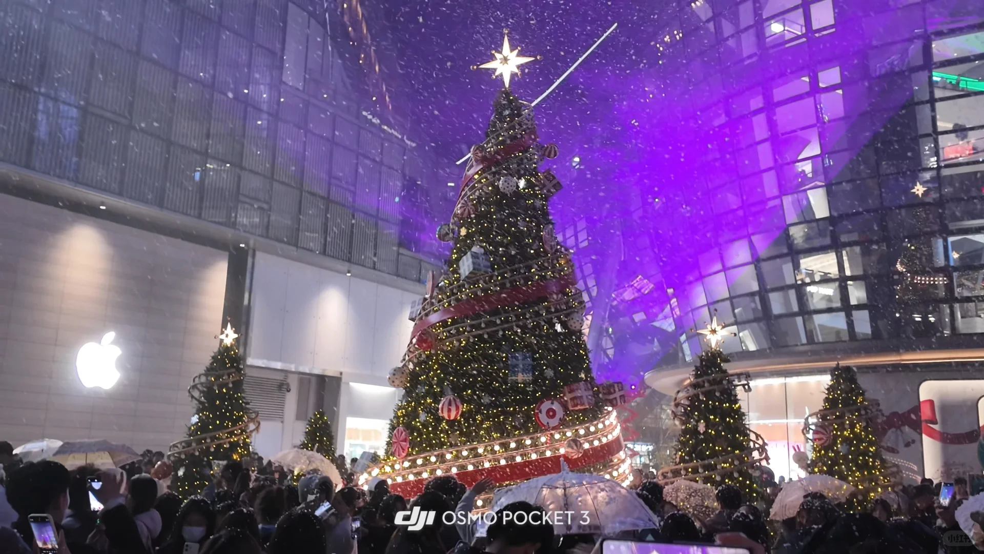 11.23实况！！济南初雪！！