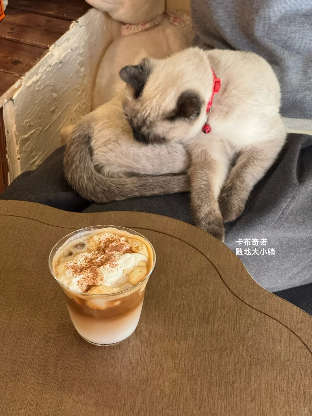 济南非常适合拍照的喵星人咖啡馆🐱