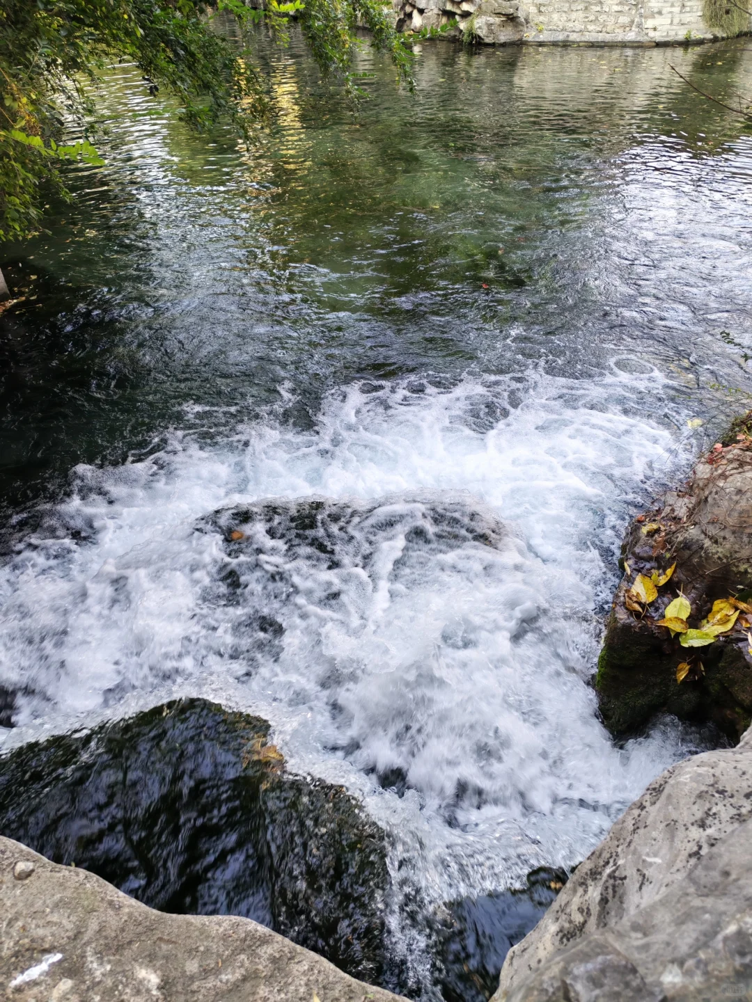 济南的冬天❄️