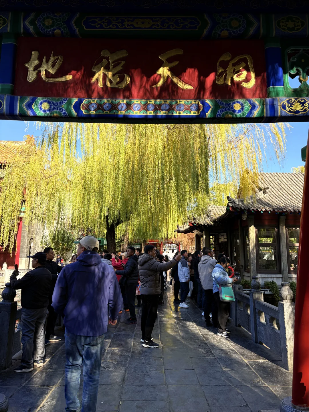 11.27 趵突泉人不多🉑冲