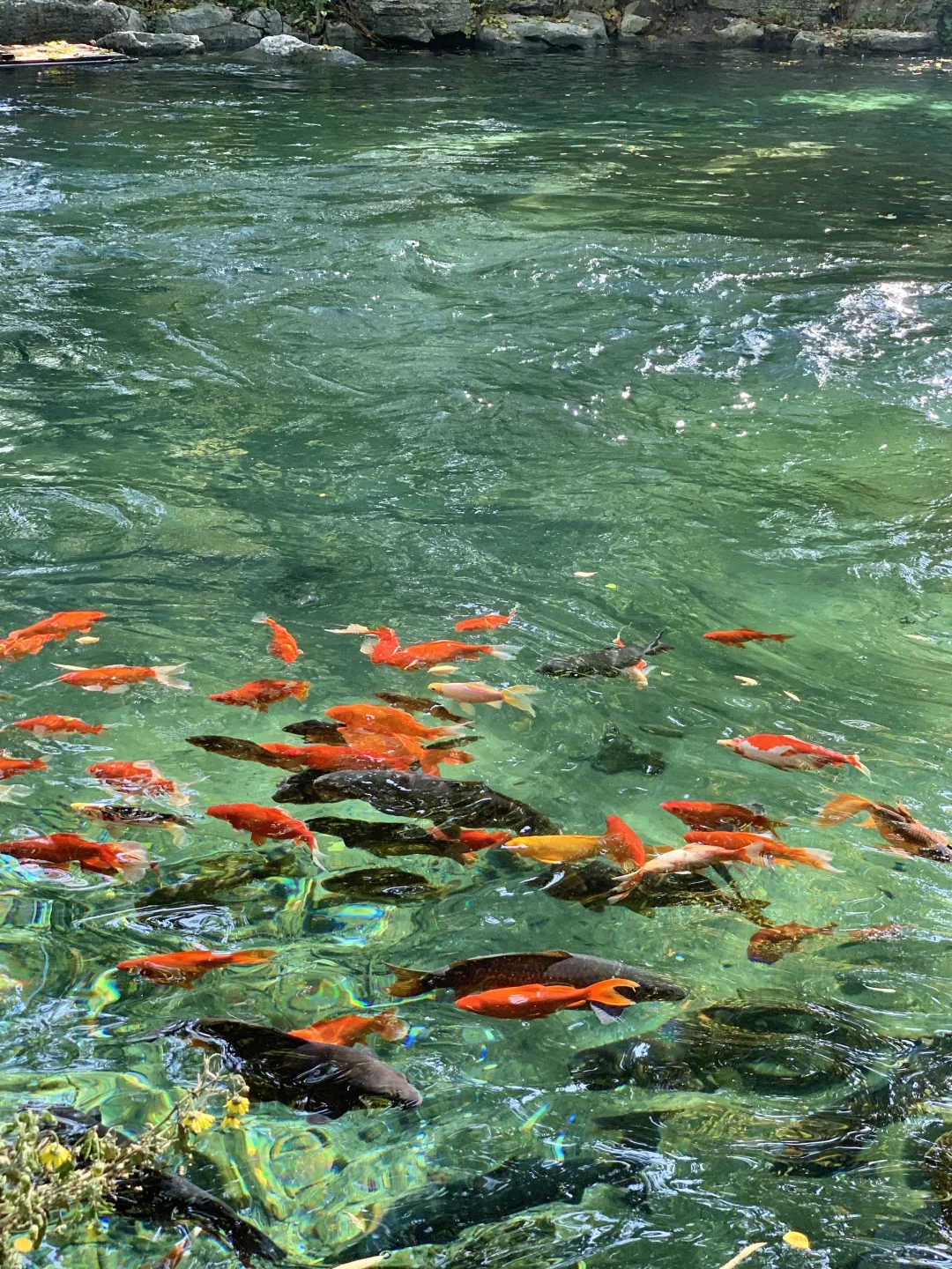 济南的冬天太美丽了