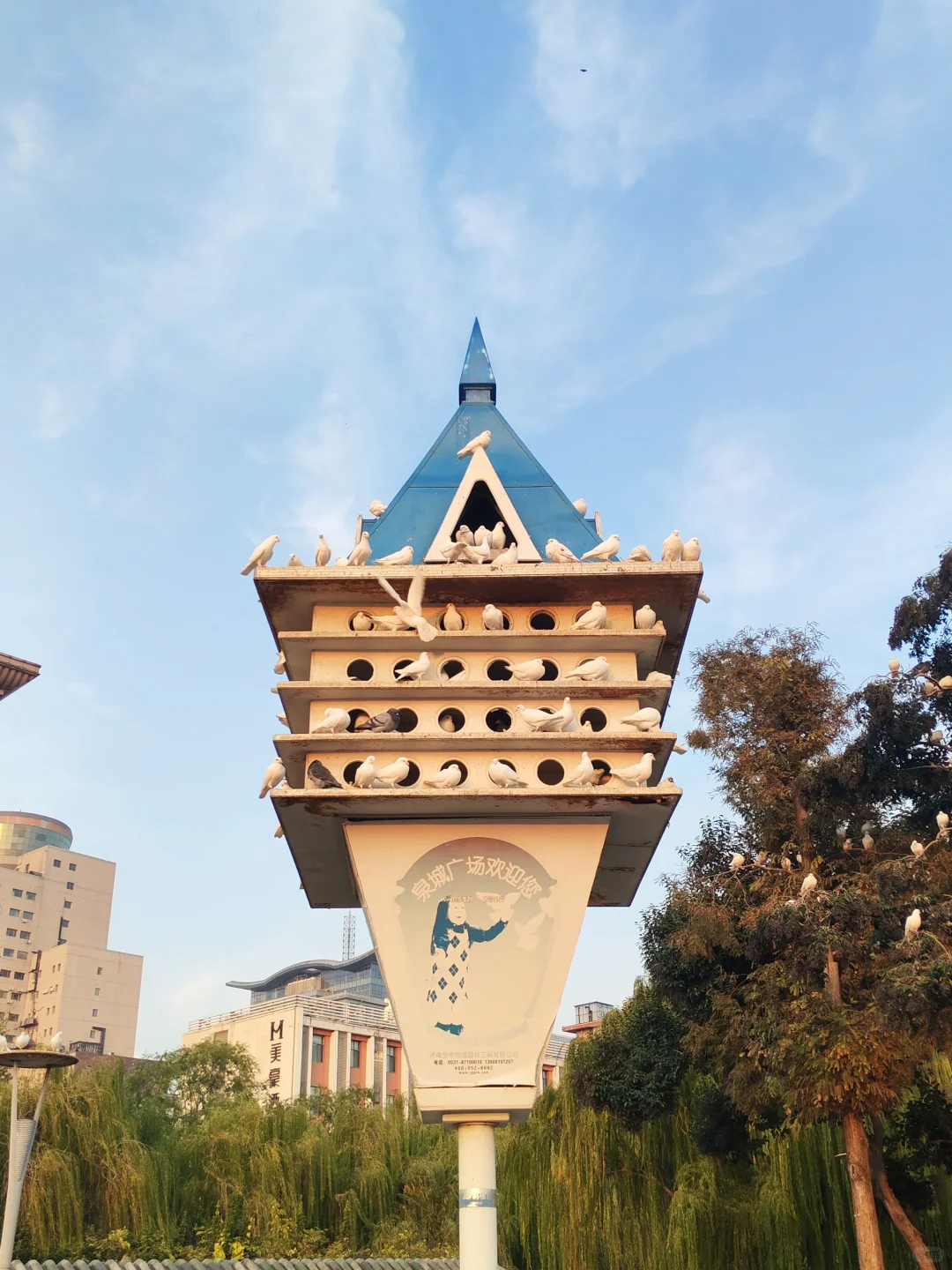 济南的冬天❄️