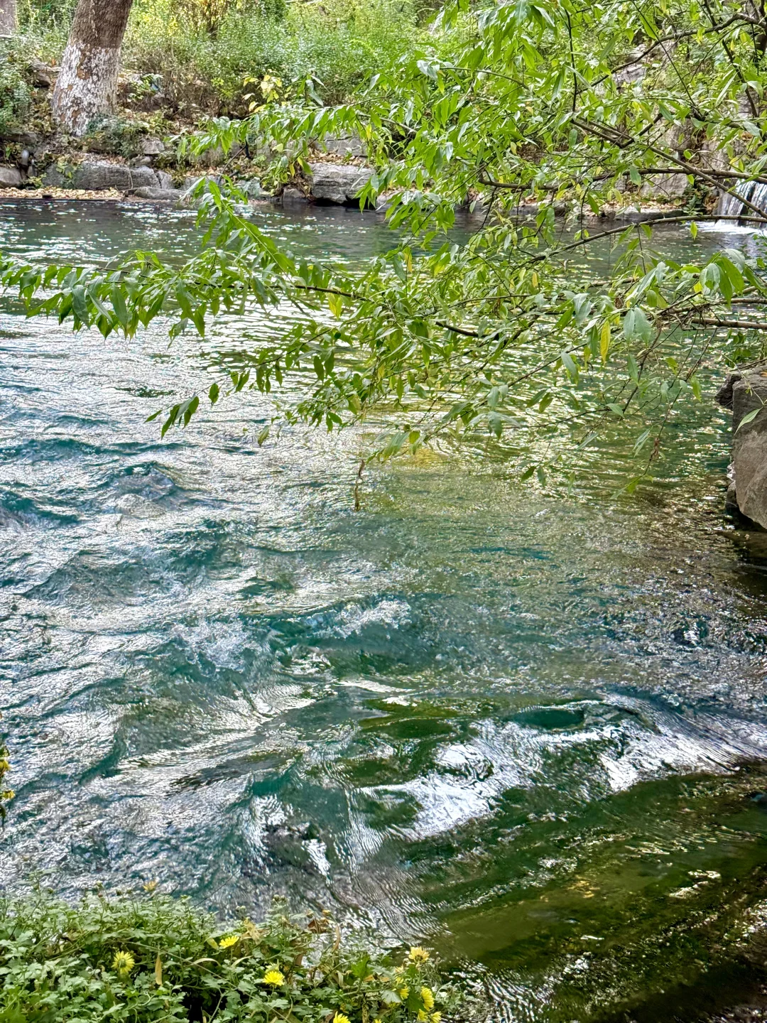 在济南🫧“清泉石上流”具像化了……