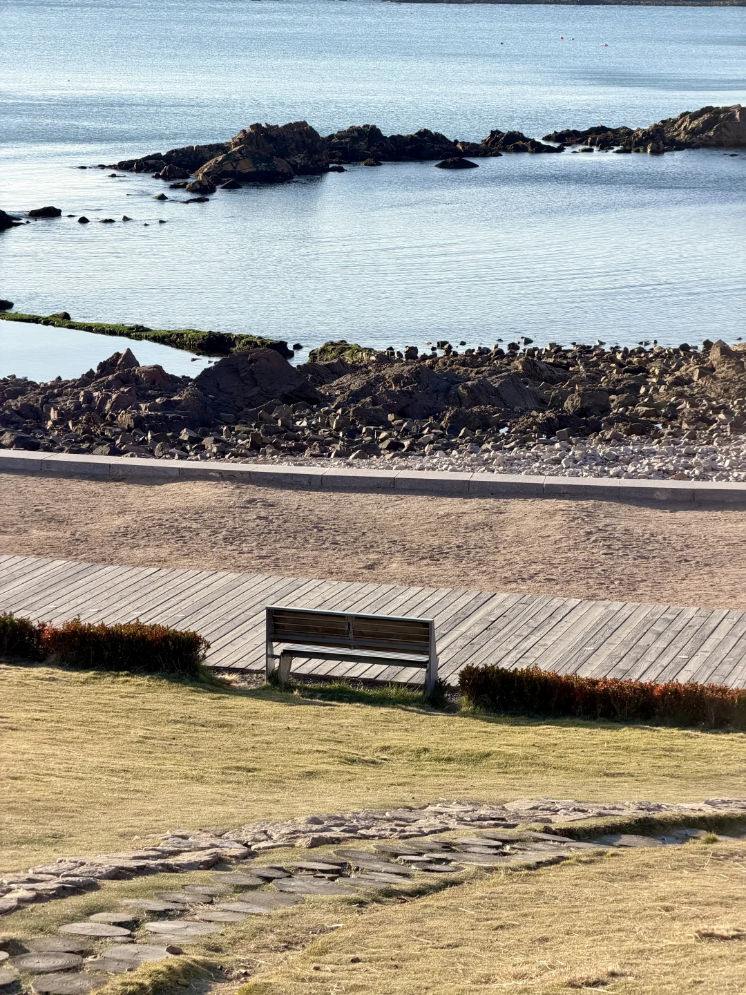 🌊我又又又喜欢上一条青岛冬天sea walk路线