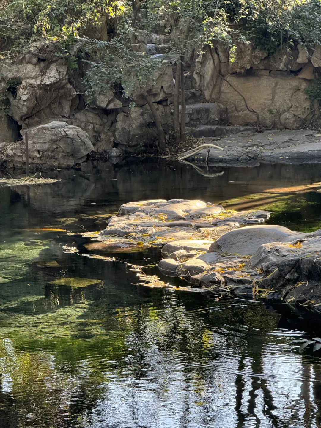 济南Day1，11.27趵突泉