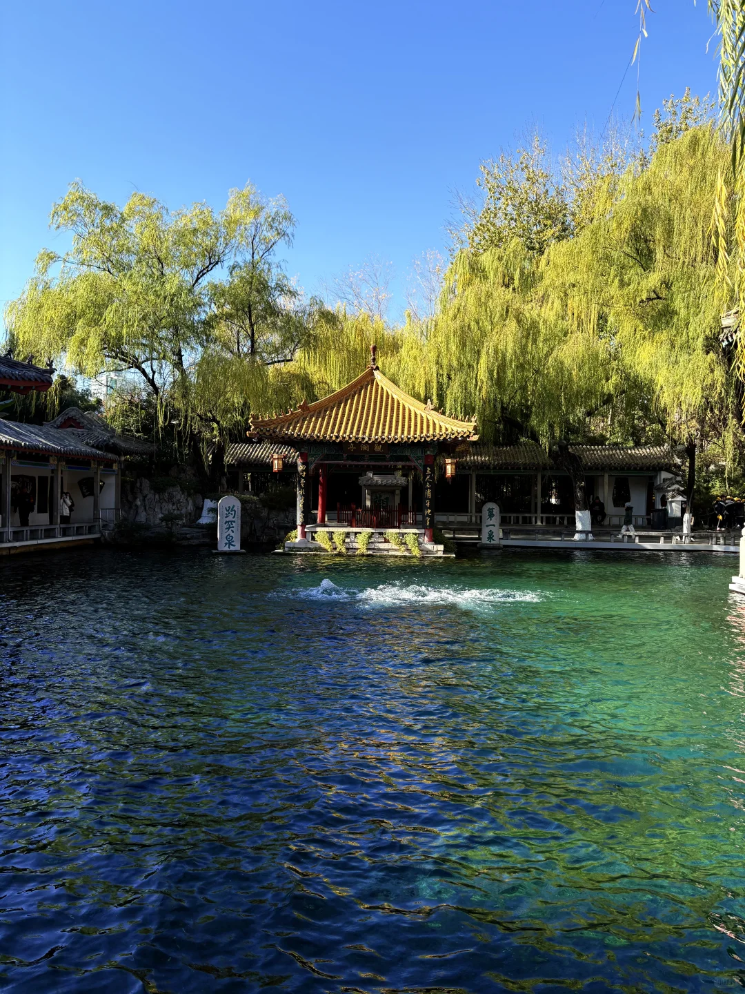 11.27 趵突泉人不多🉑冲