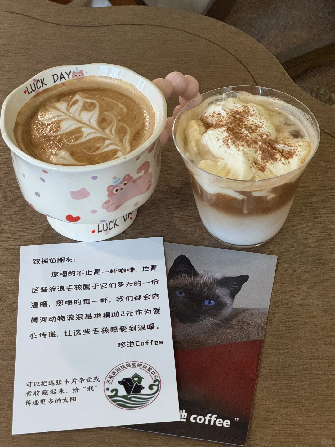 济南非常适合拍照的喵星人咖啡馆🐱