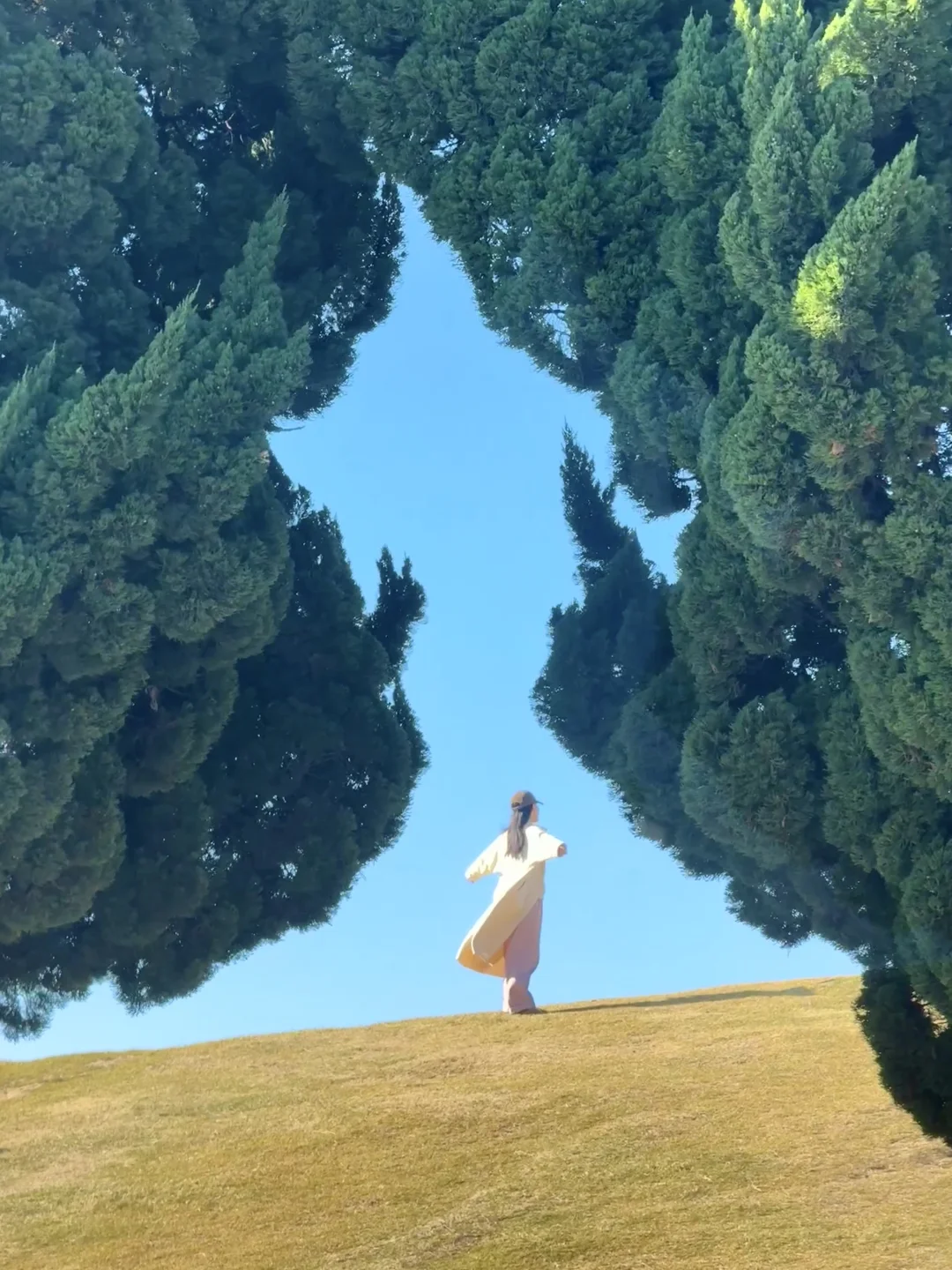 为了这18张照片，专门去了一趟青岛，附路线……