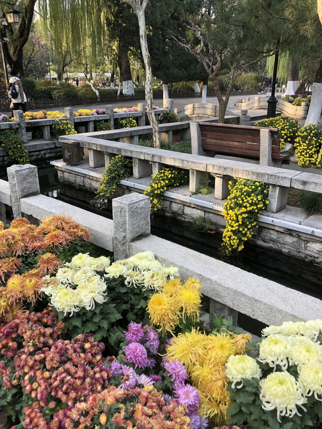 来济南啦 | 在趵突泉看小桥流水人家！