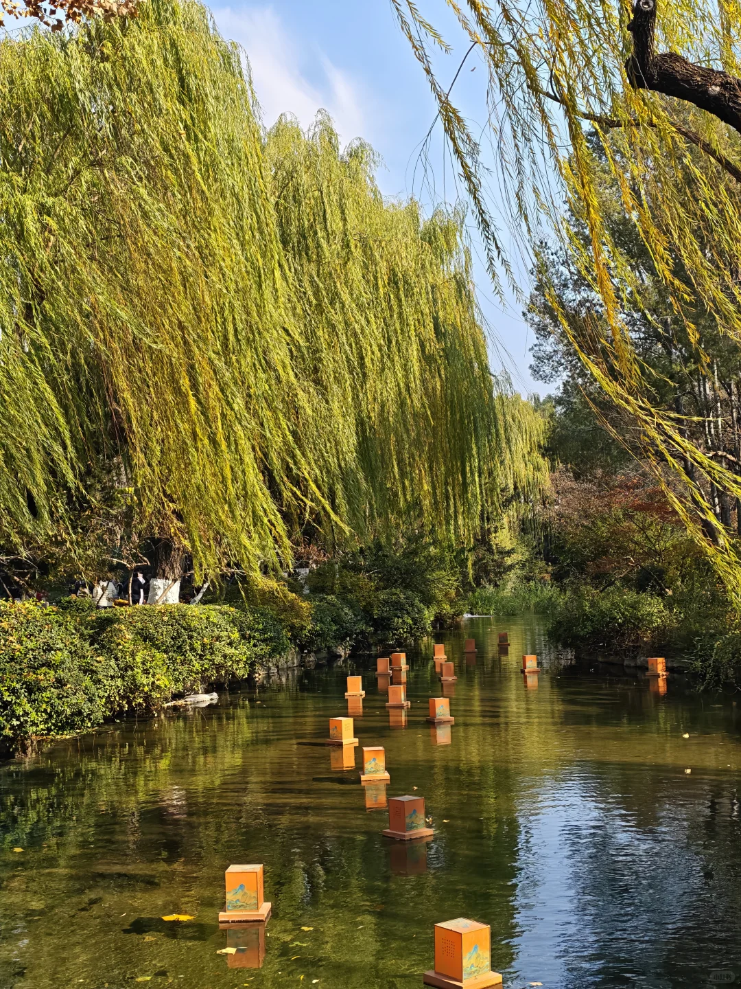 in济南|老舍笔下的城市不需要滤镜