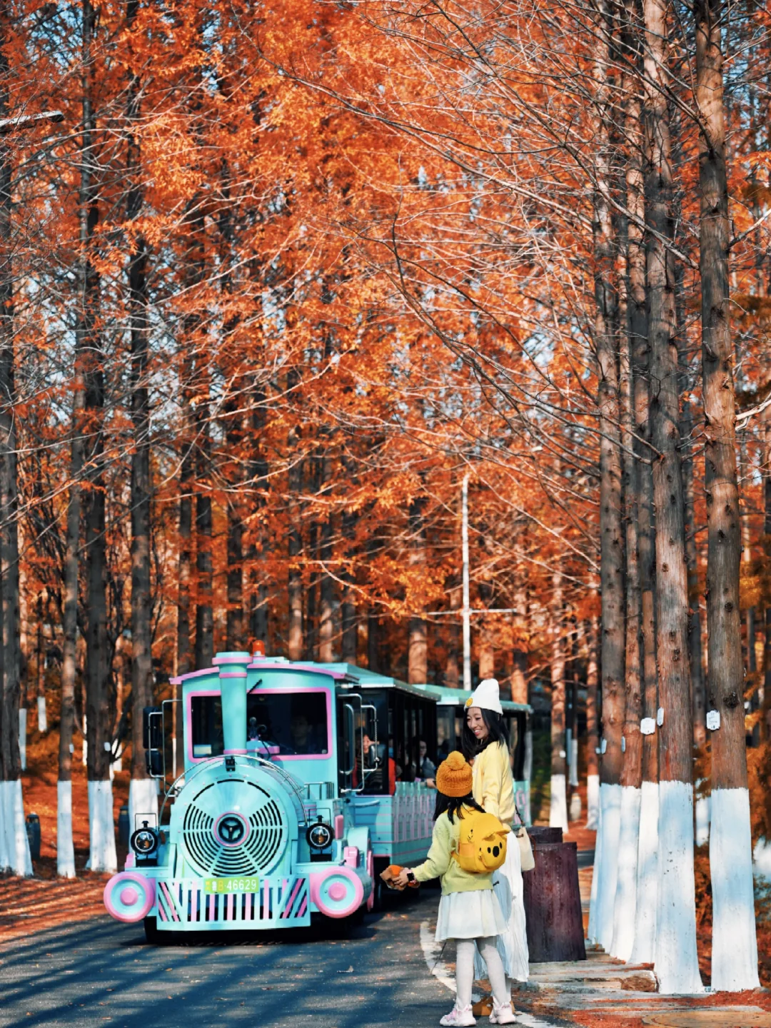 青岛6个此时此刻超美的深秋童话！