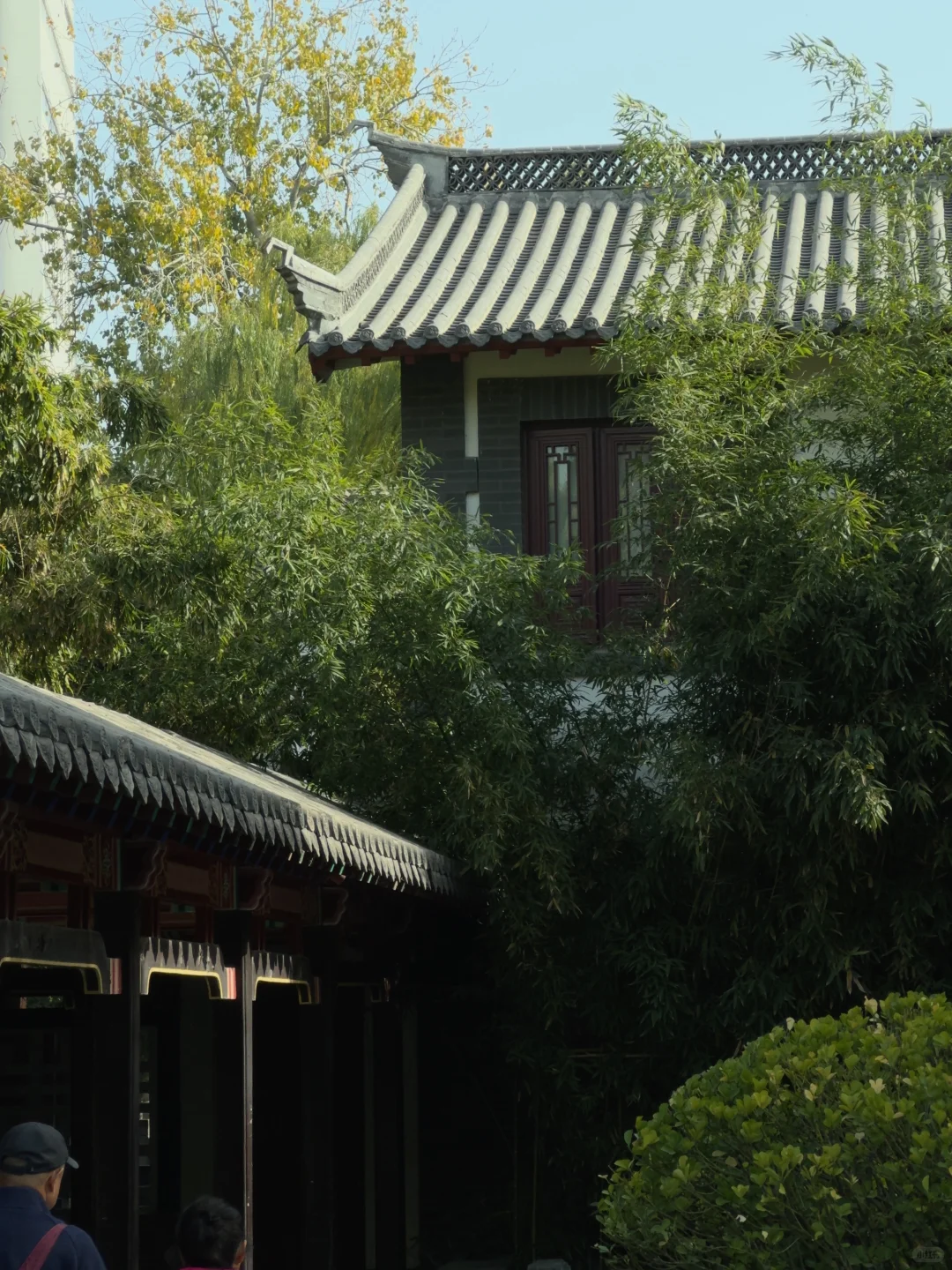 周末去了一趟济南