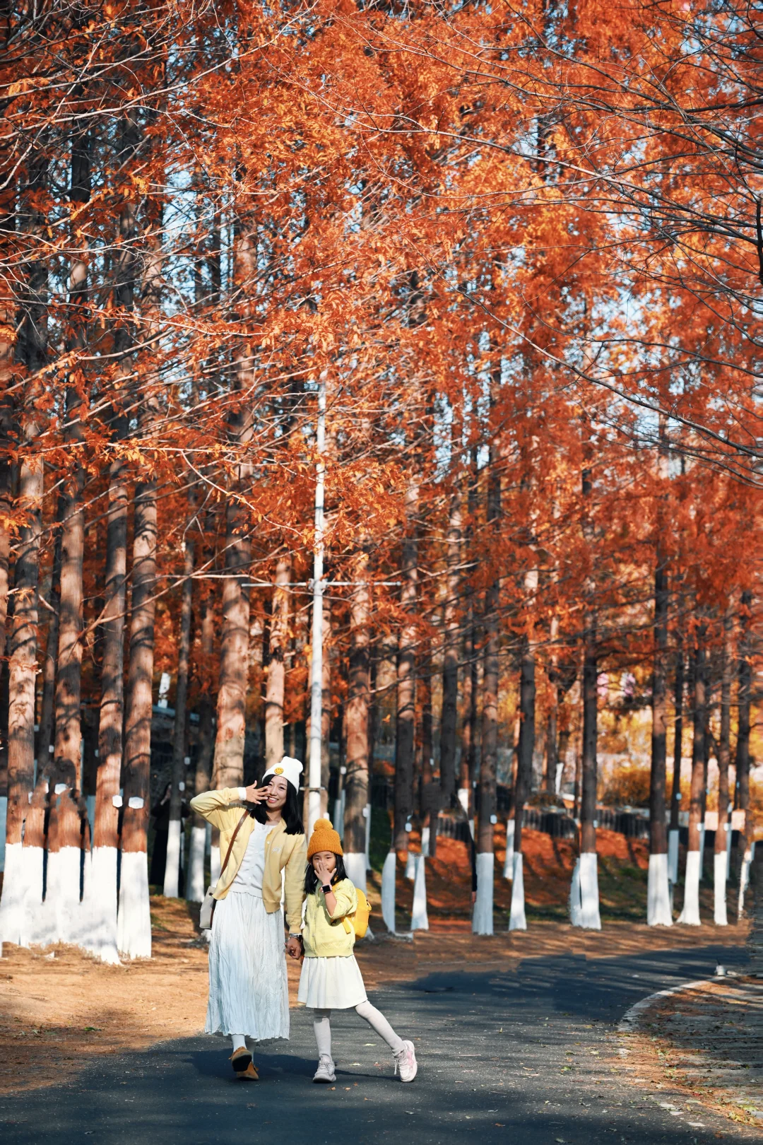 青岛6个此时此刻超美的深秋童话！