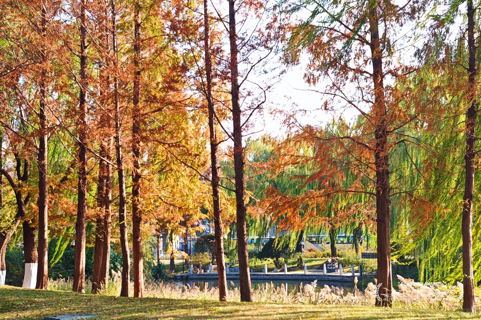 走一趟济南初冬的大明湖