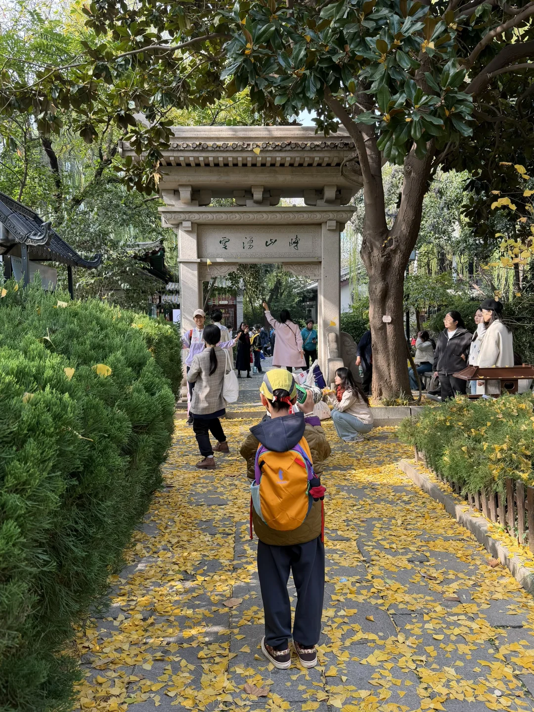 谁还没看趵突泉的菊花展，快去‼️