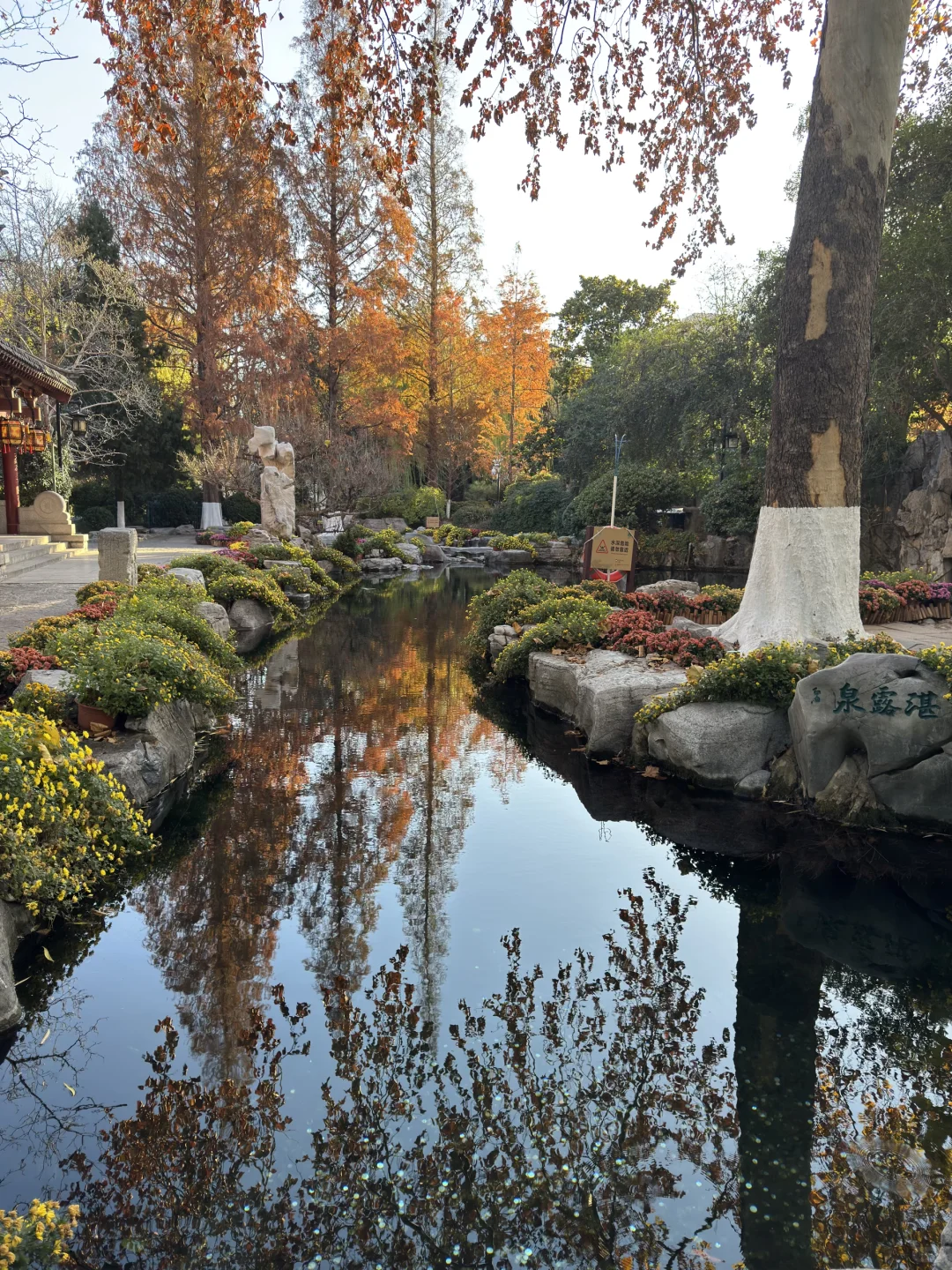 济南Day1，11.27趵突泉