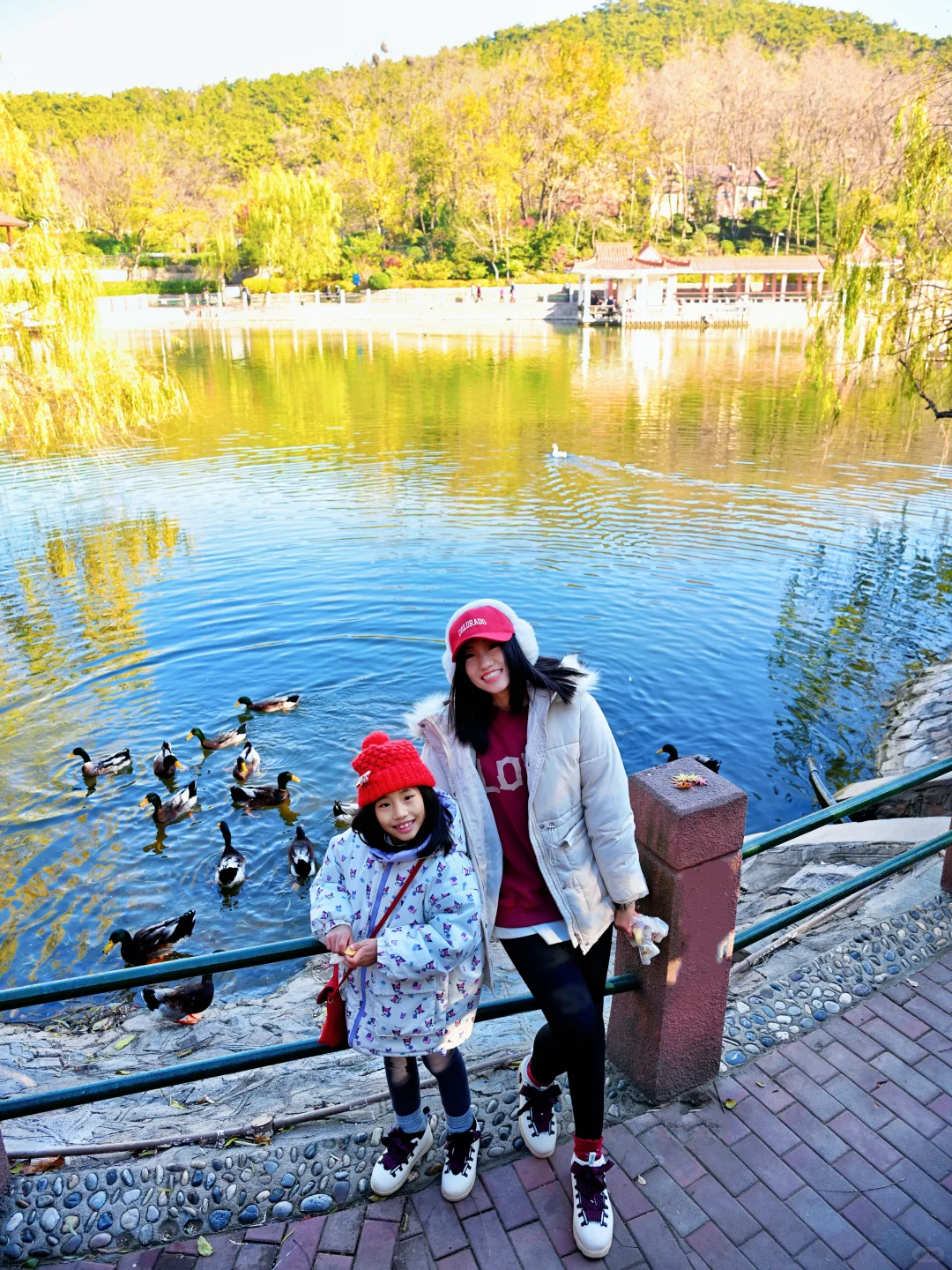 青岛6个此时此刻超美的深秋童话！