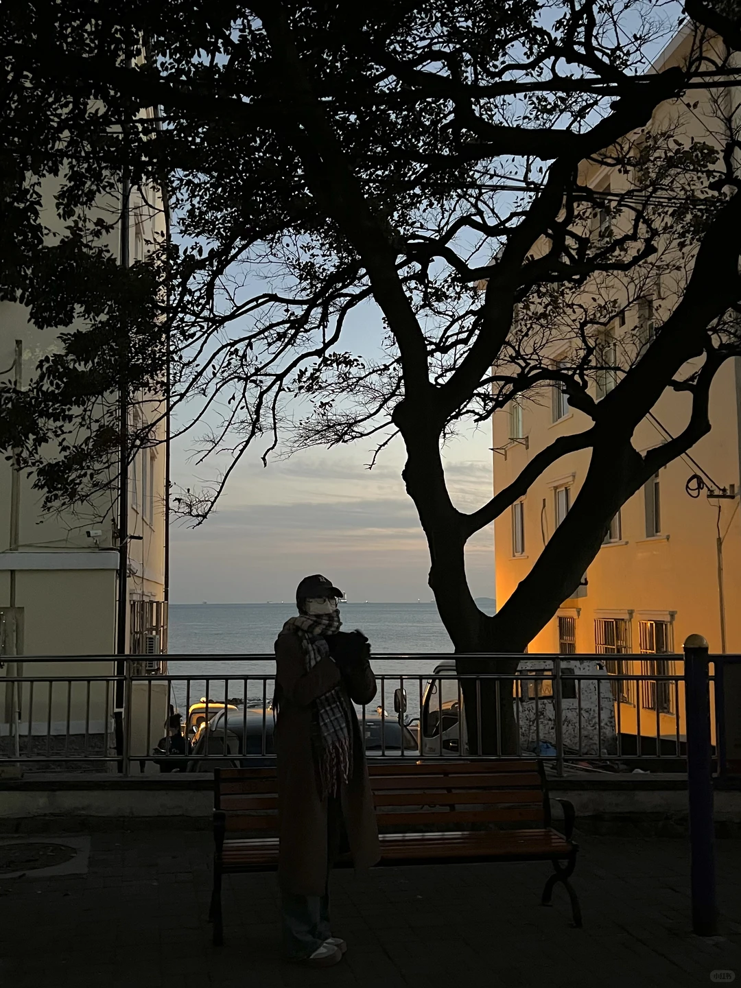 青岛刚回，此行最满意的9️⃣个地方。。。。。