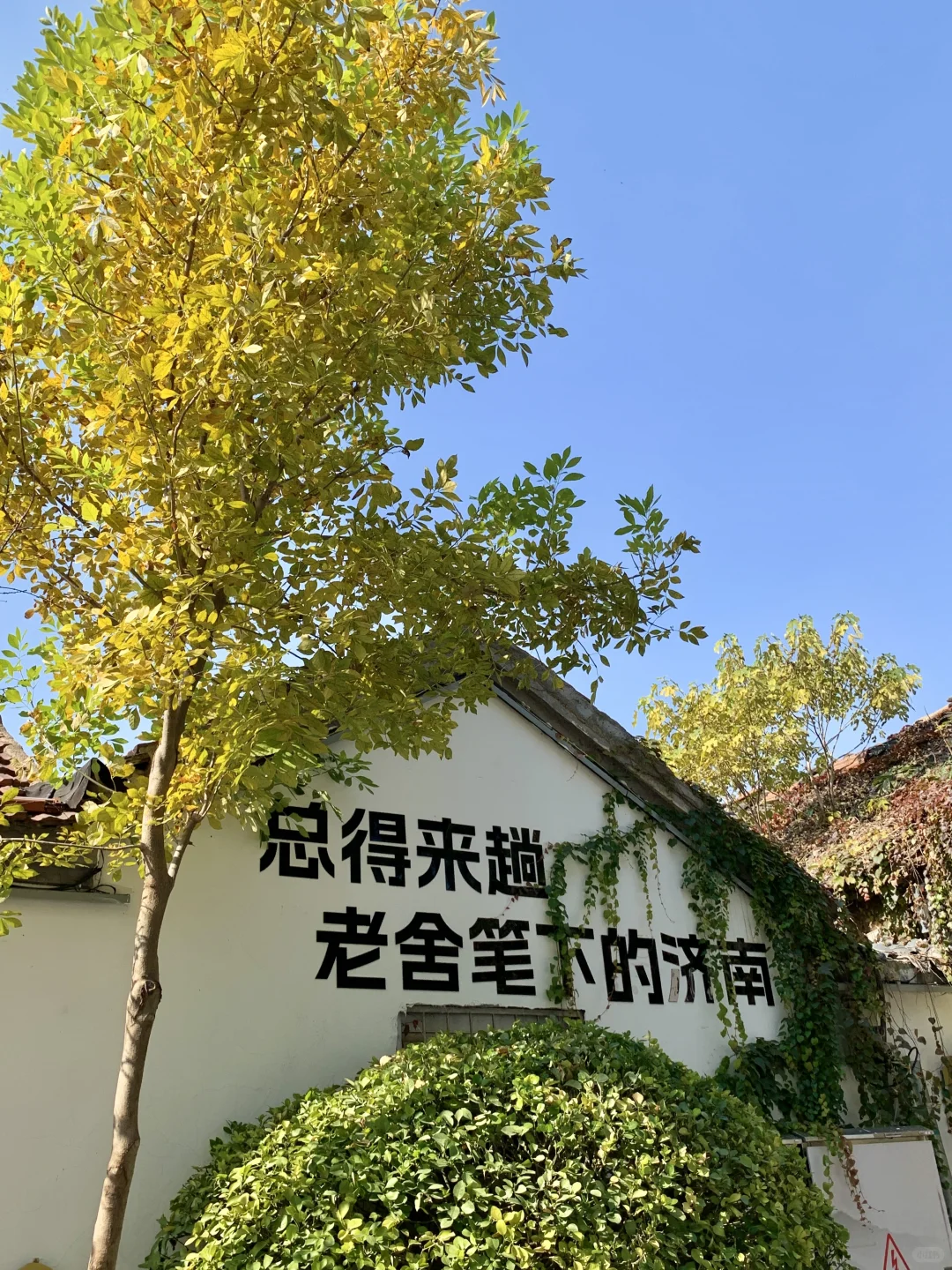 济南的冬天太美丽了