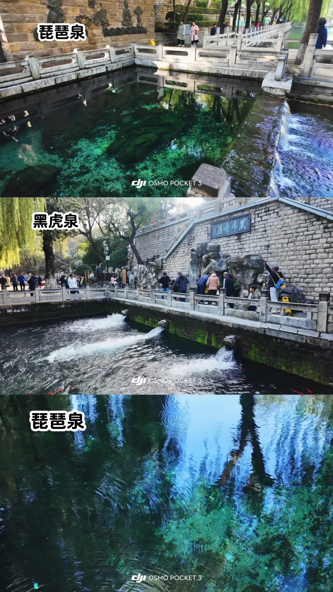 🍂请北京小孩周末都去济南赏秋！行程分享🔛