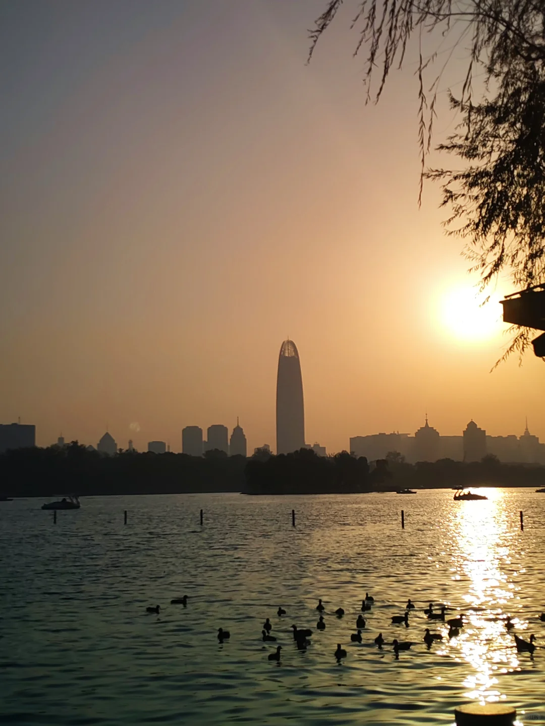 济南的冬天❄️