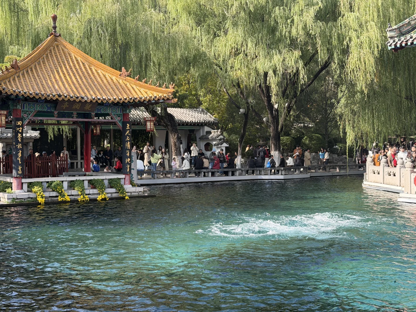 📍济南 曲水亭街🏘️