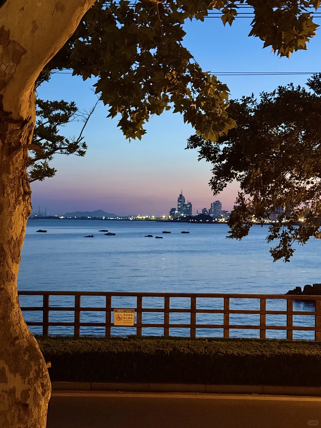 青岛刚回，此行最满意的9️⃣个地方。。。。。