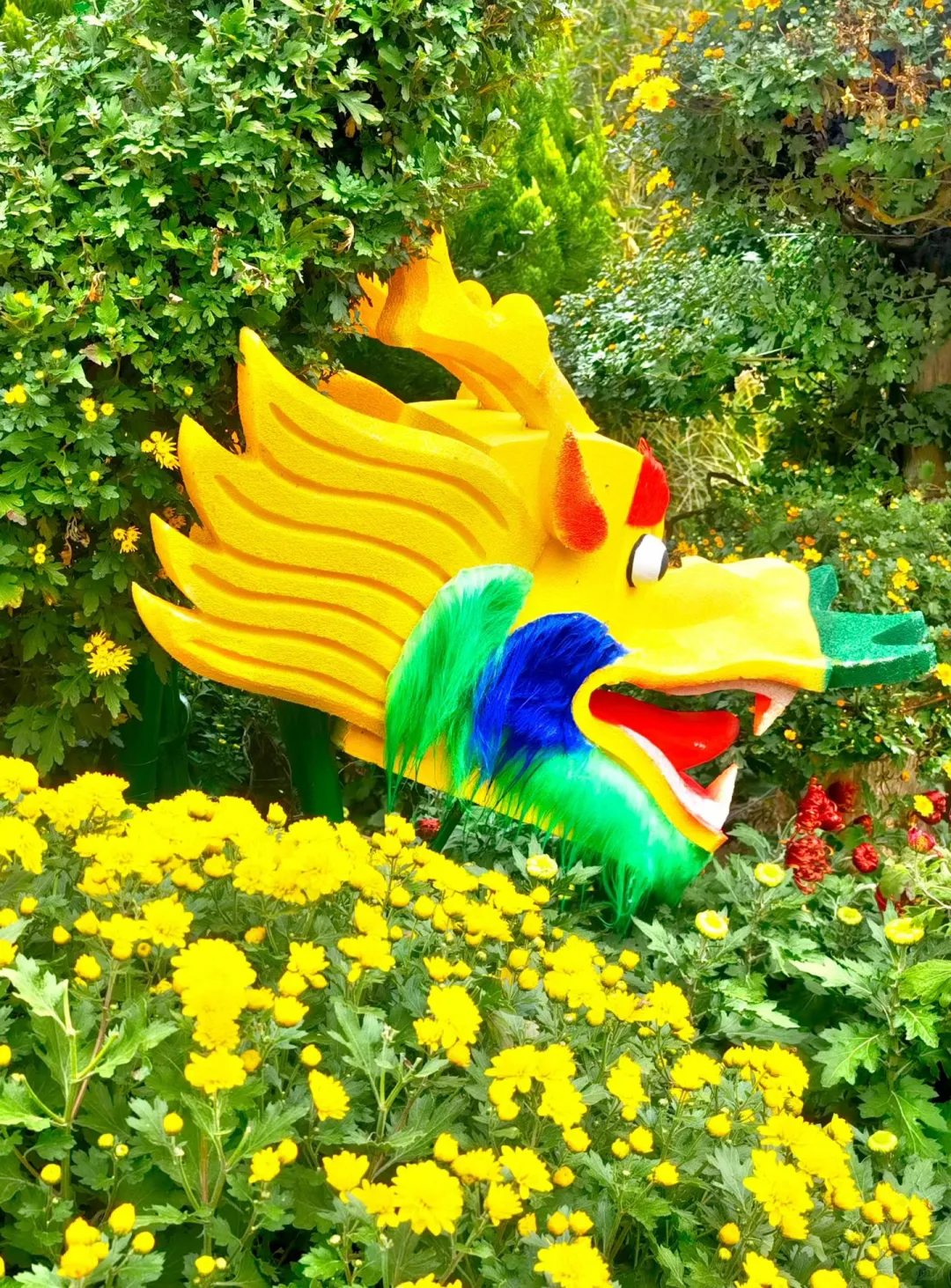 山水间的诗意画卷—趵突泉