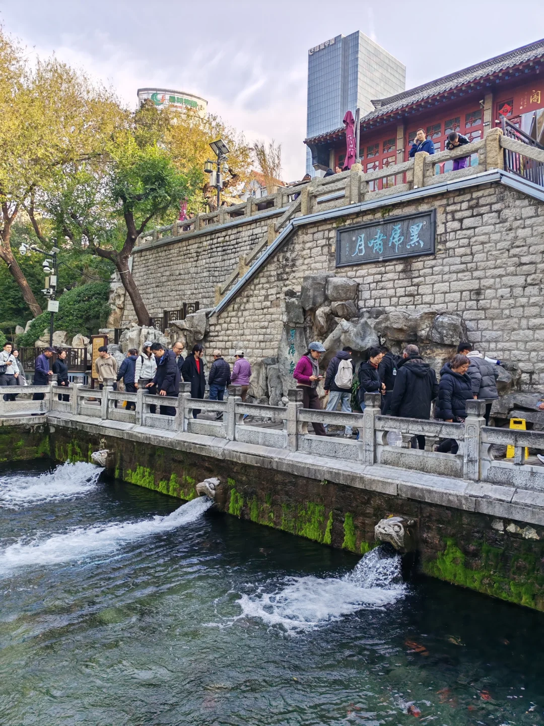 济南的冬天❄️