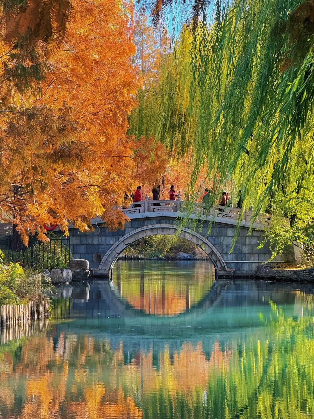 大明湖四象限景色正当时🍂（附位置）