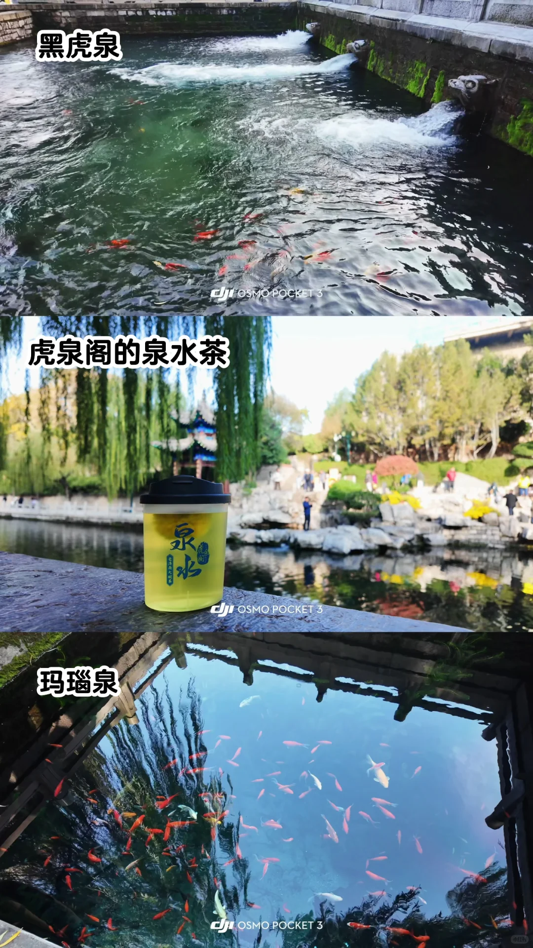 🍂请北京小孩周末都去济南赏秋！行程分享🔛