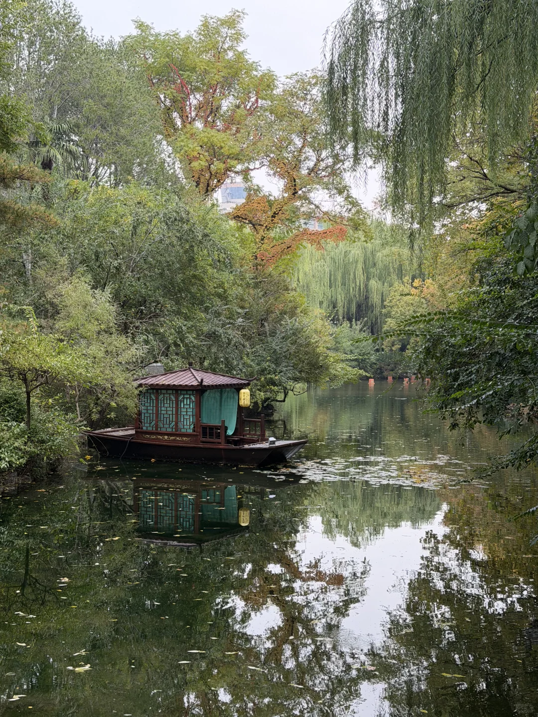 11月，趵突泉最新消息‼️要去济南的赶紧码住