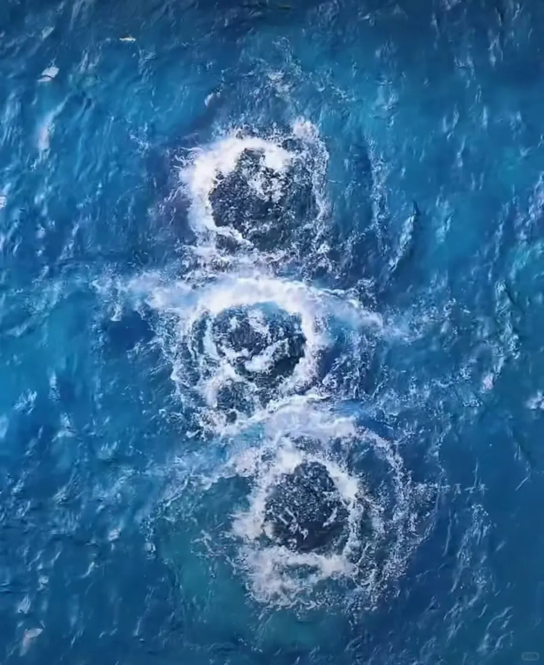 山水间的诗意画卷—趵突泉