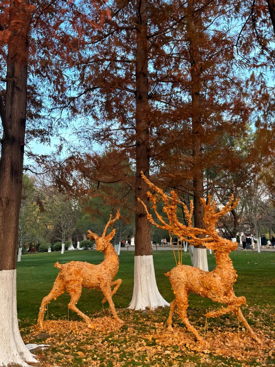 老舍先生笔下的秋冬 🍂