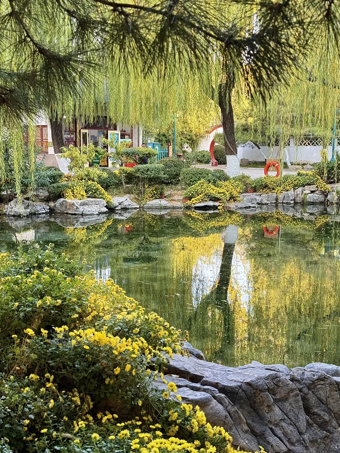 在济南🫧“清泉石上流”具像化了……