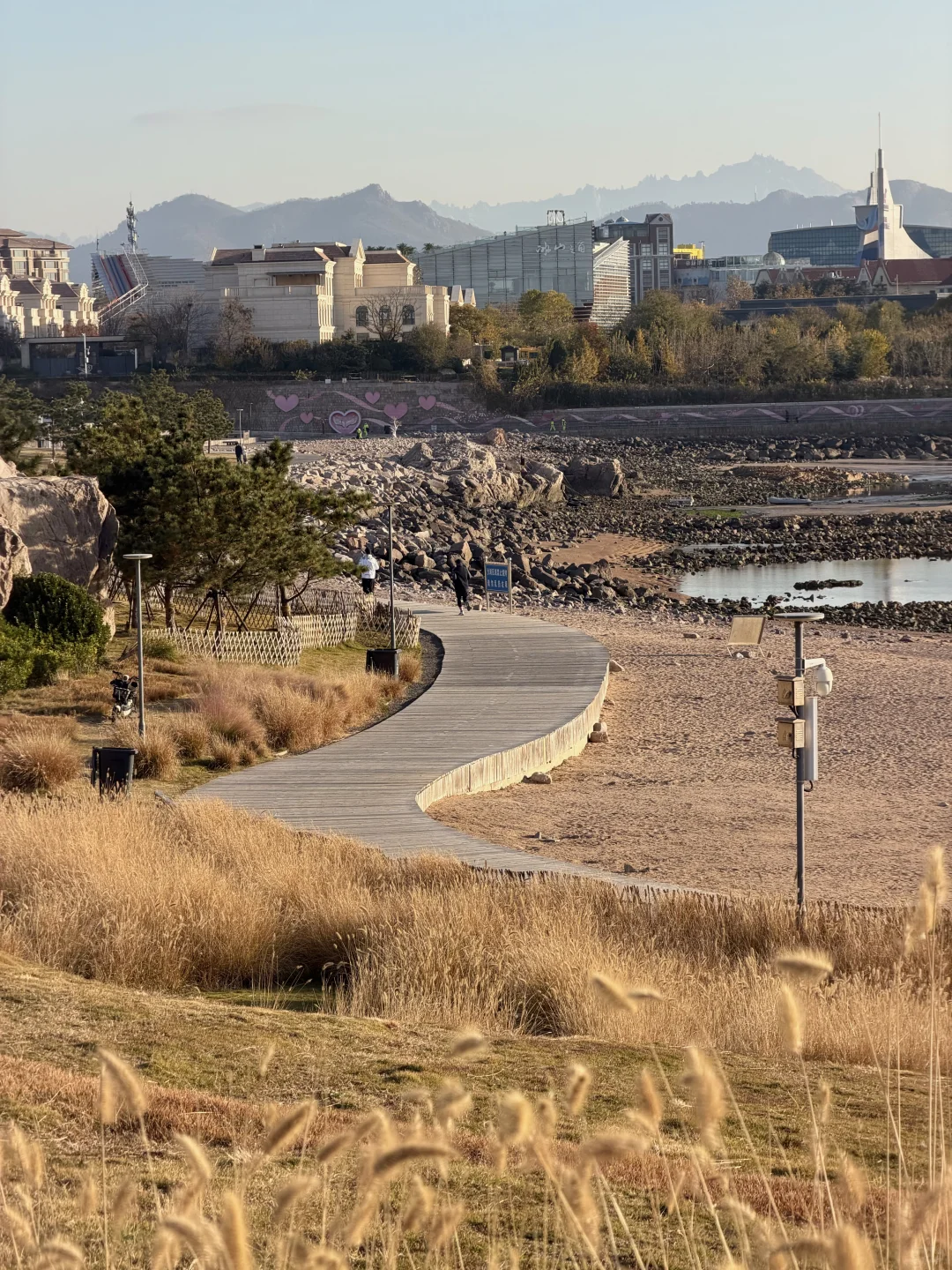 🌊我又又又喜欢上一条青岛冬天sea walk路线