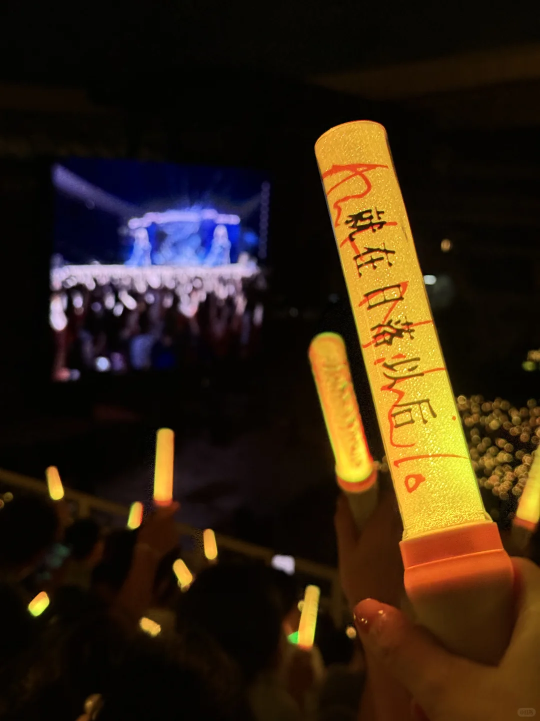 青岛已回，说实话不推荐