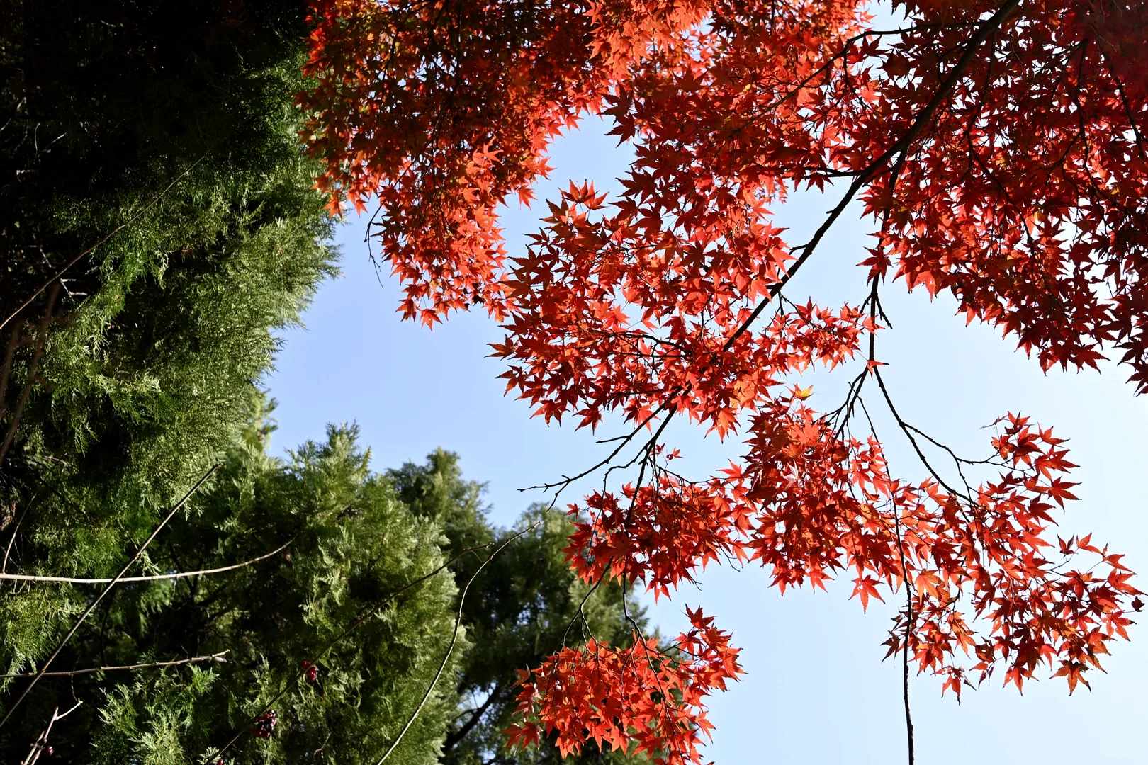 青岛中转citywalk
