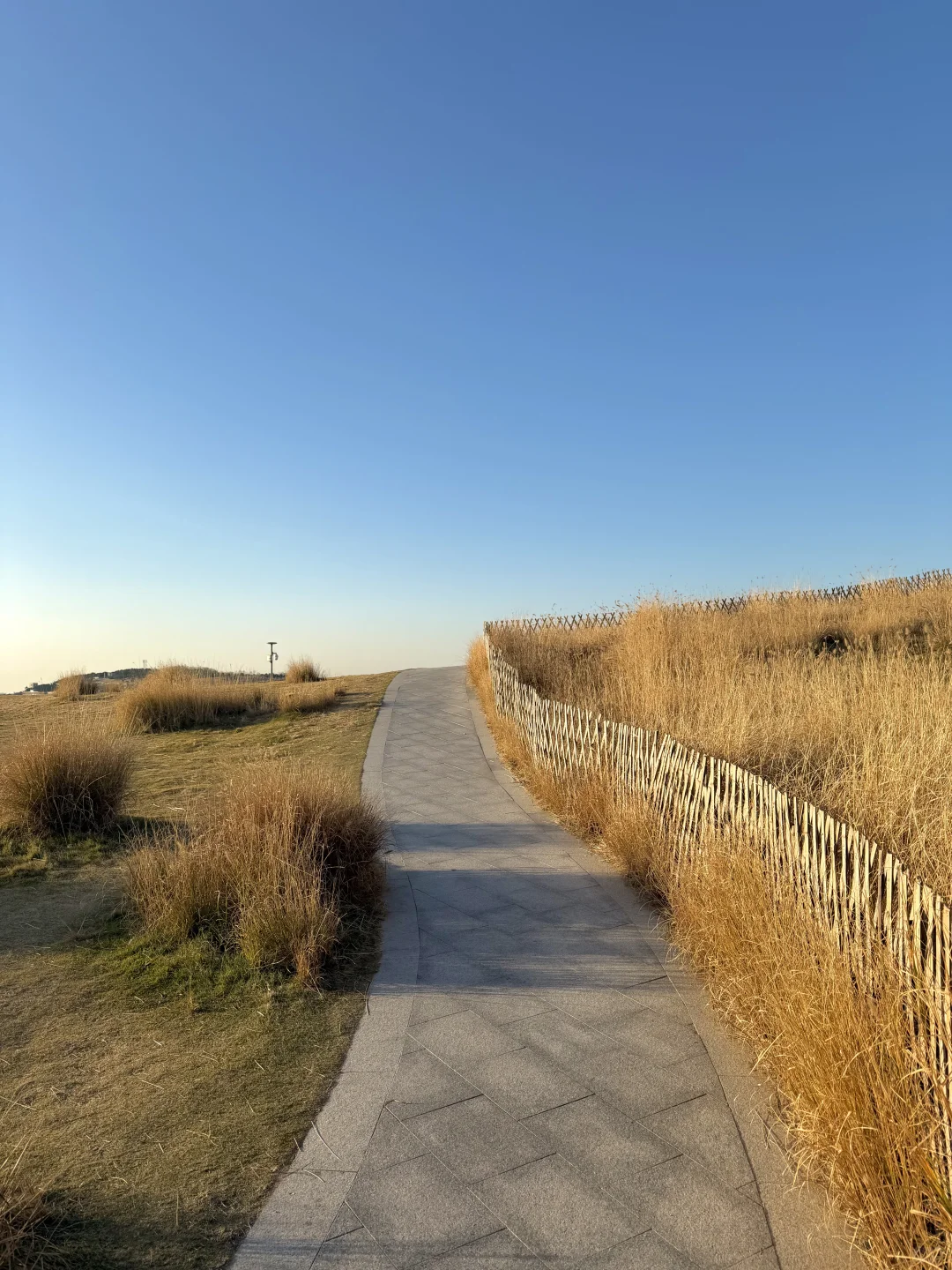 🌊我又又又喜欢上一条青岛冬天sea walk路线